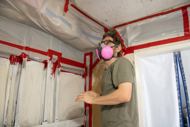 Best Environmental Consulting for Mold Prevention  in Shallotte, NC