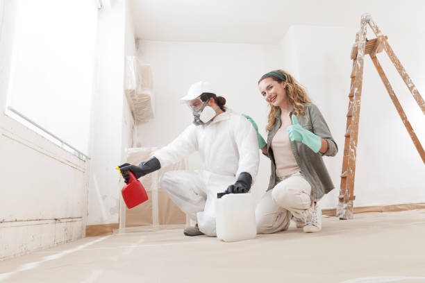 Best Mold Odor Removal Services  in Shallotte, NC