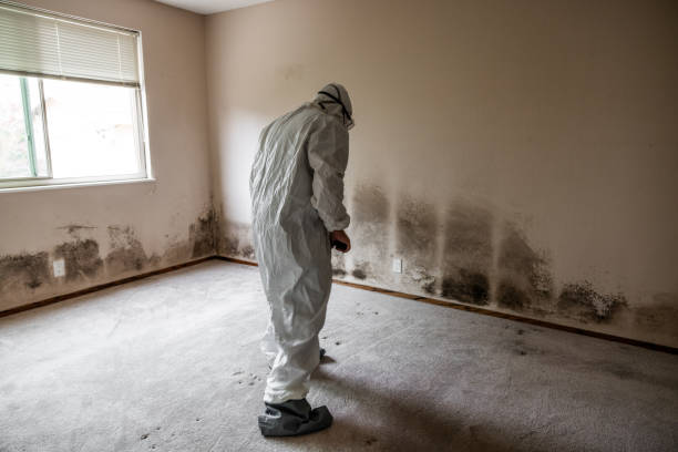 Best Biohazard Mold Removal  in Shallotte, NC
